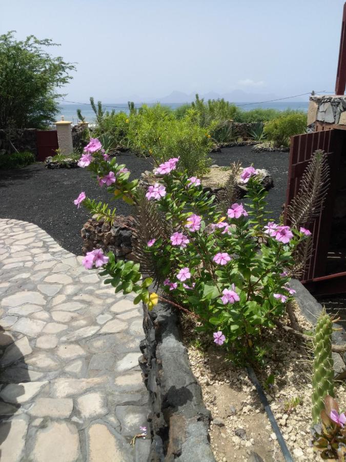 Coin De Paradis,Pavillon Doucimar Porto Novo Εξωτερικό φωτογραφία